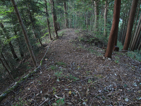 20171026hike (445)